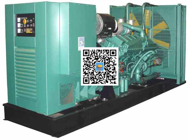 大荔笼型异步发电机的电力电子控制技术